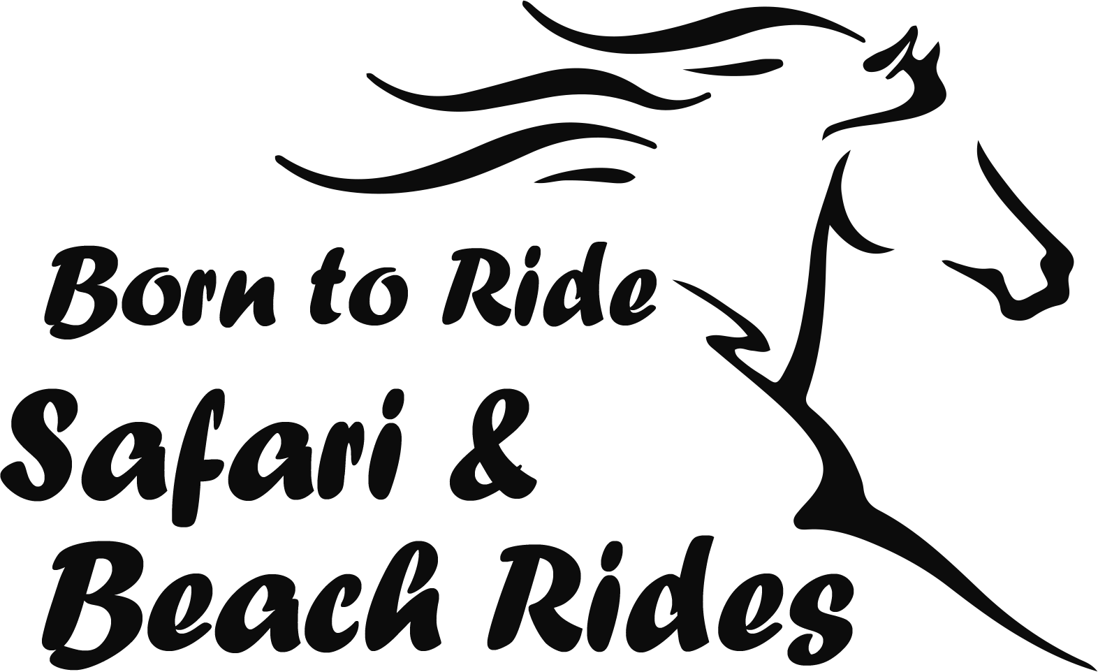 Guided Horseback Safari Beach Rides Cape Town Born To Ride Logo New Edited For Web Dark Grey